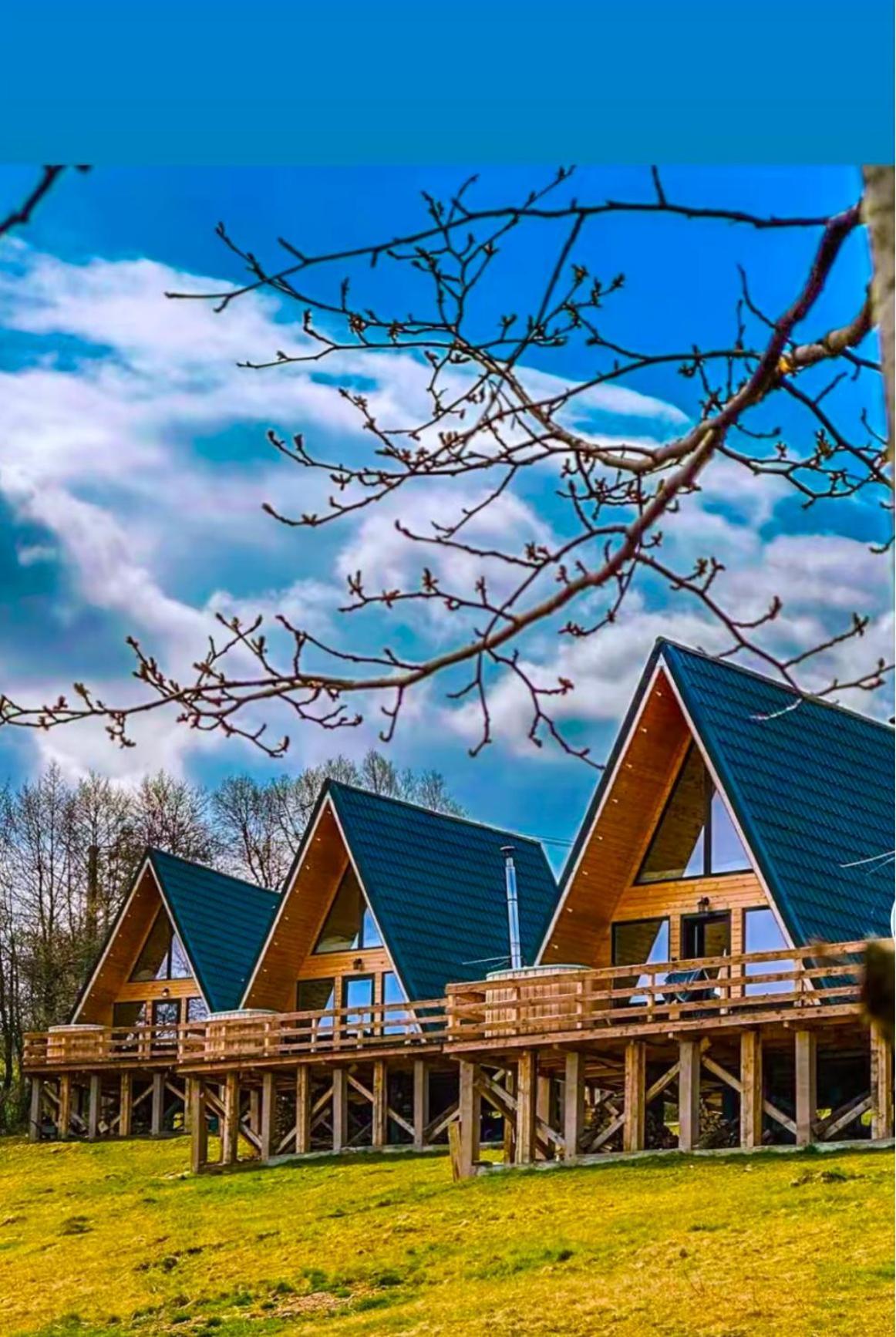 Cabana 365 Brasov Exterior photo