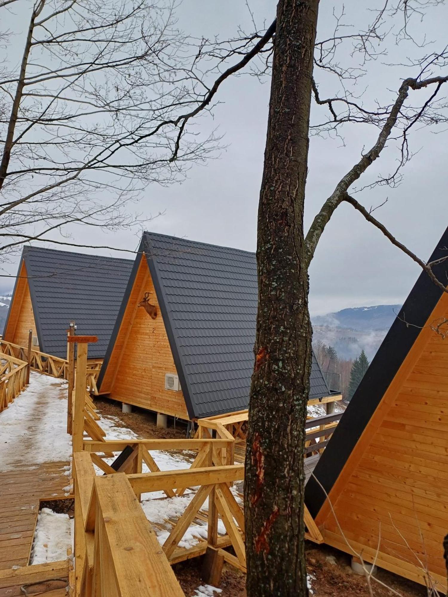 Cabana 365 Brasov Exterior photo
